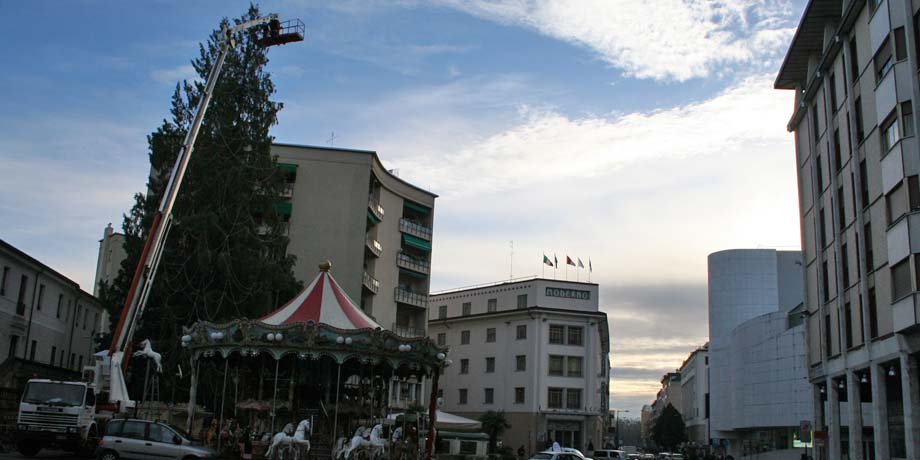 z_albero di natale tipi intervento.jpg